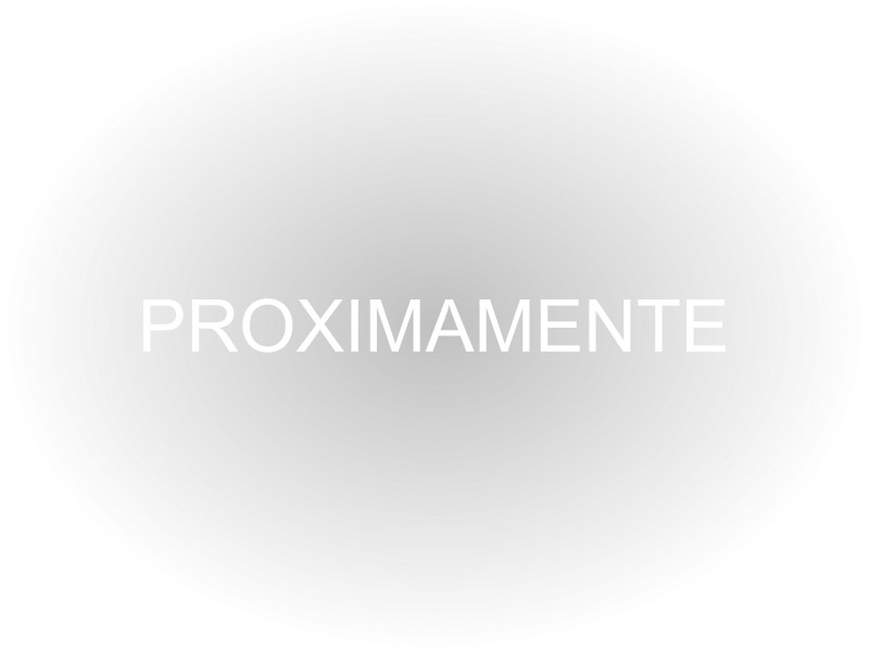 images/productos/bienestar/cojines-electricos/car-hp200_1.jpg